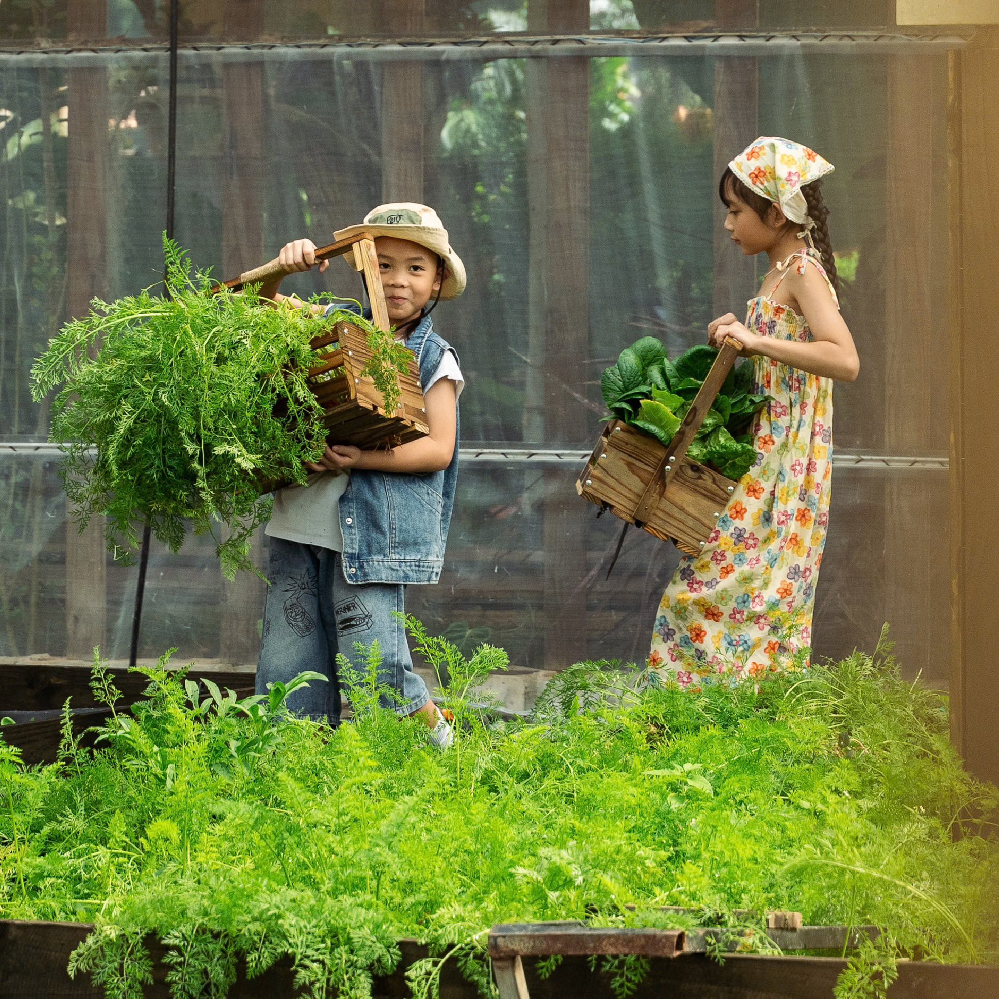 Du khách trải nghiệm thu hoạch và ăn rau sạch tại chỗ ở Đà Lạt - 4