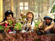 Du khách trải nghiệm thu hoạch và ăn rau sạch tại chỗ ở Đà Lạt