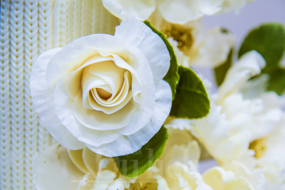 Hàng trăm thương hiệu quốc tế quy tụ tại triển lãm Cafe Show Vietnam 2026 - 12