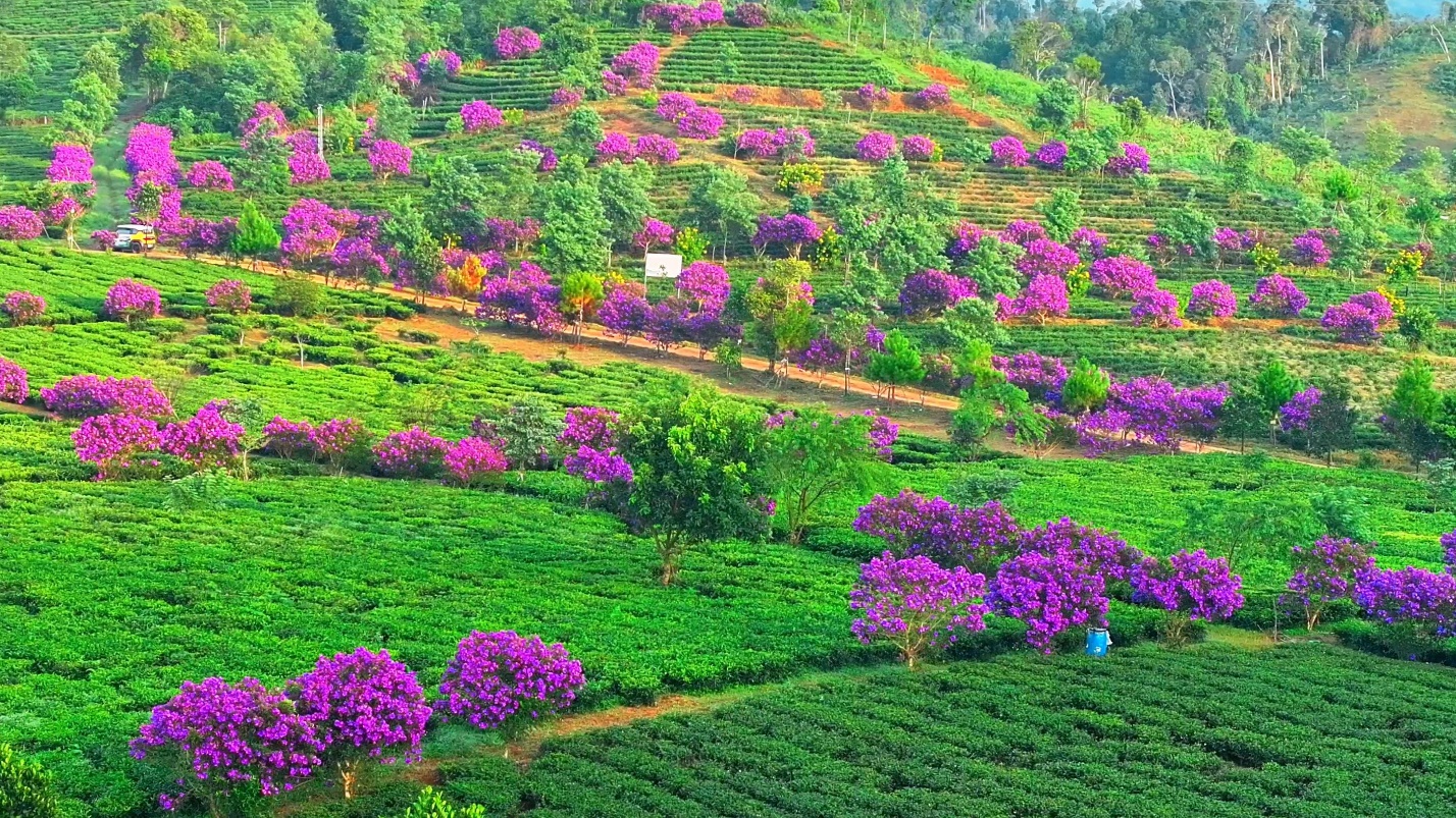 kon plong bao ve rung gan voi bao ton van hoa de phat trien du lich - 6