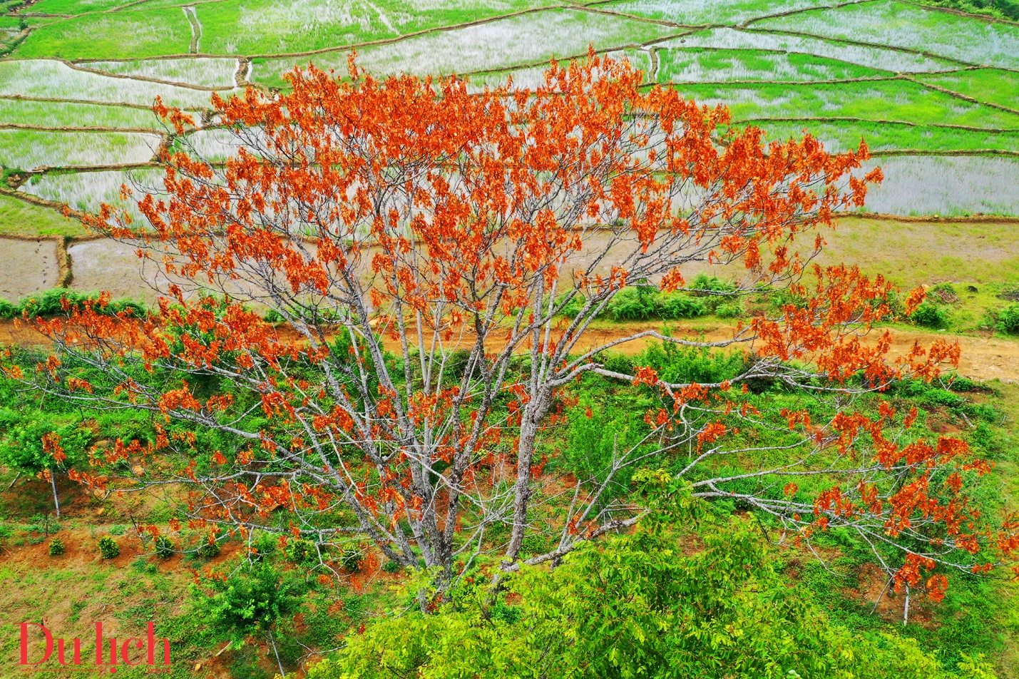 kon plong bao ve rung gan voi bao ton van hoa de phat trien du lich - 8