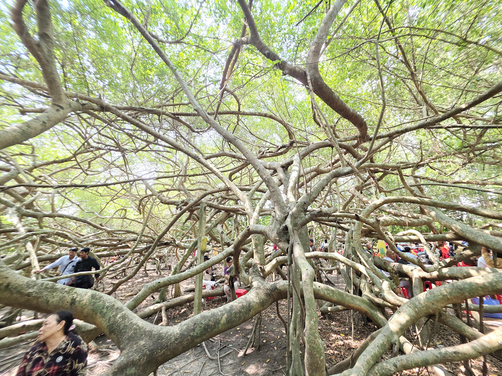 Độc đáo nghệ thuật múa bóng rỗi tại lễ cúng Bà Thượng Động Cố Hỷ - 4