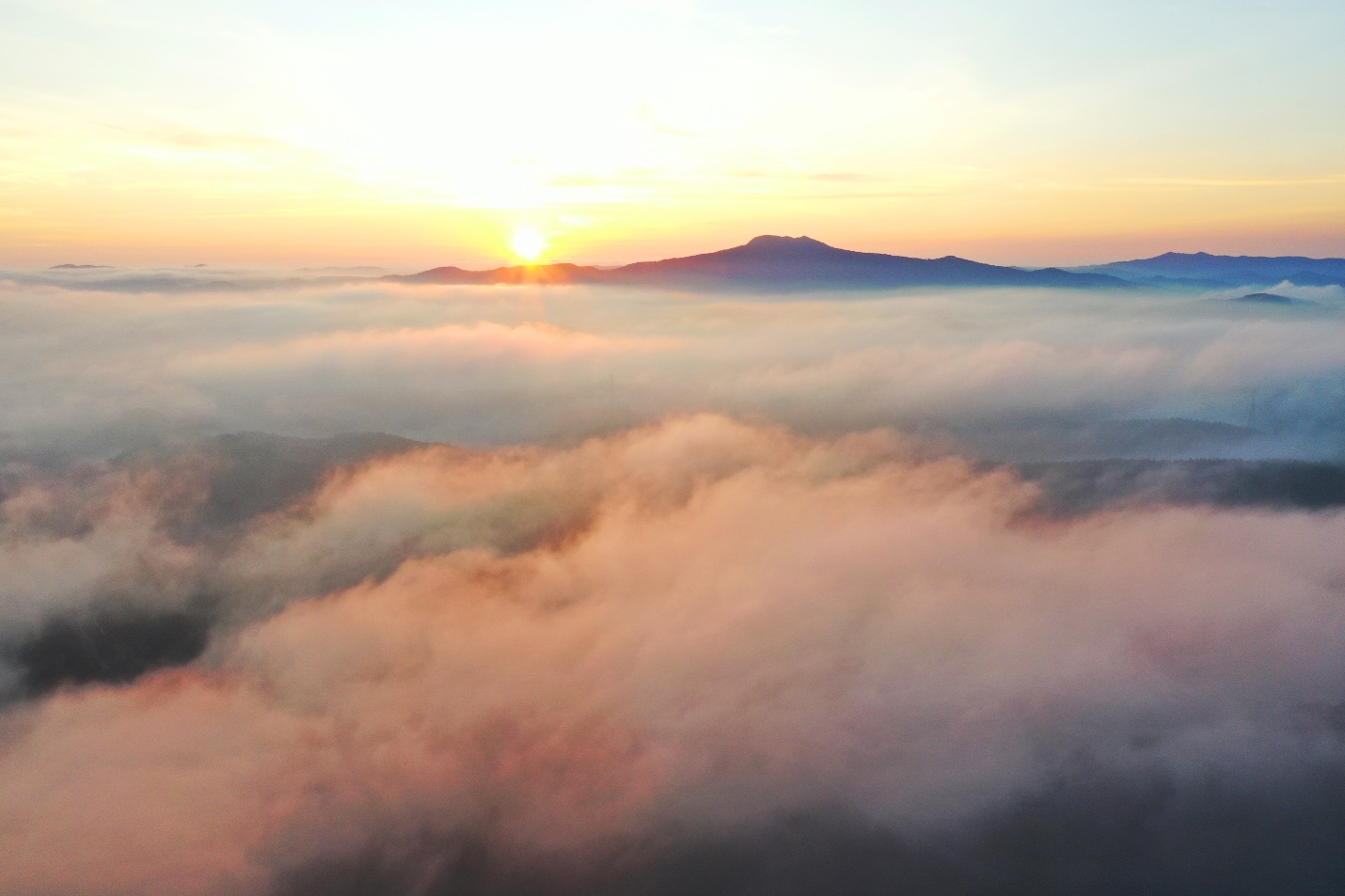 doanh nhan quang ngai tai tp.hcm khao sat trong cay duoc lieu duoi tan rung - 1