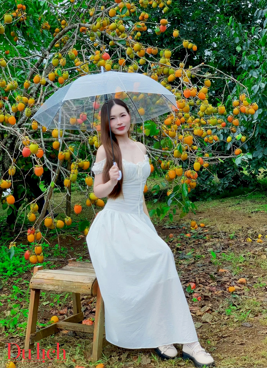 doanh nhan quang ngai tai tp.hcm khao sat trong cay duoc lieu duoi tan rung - 15