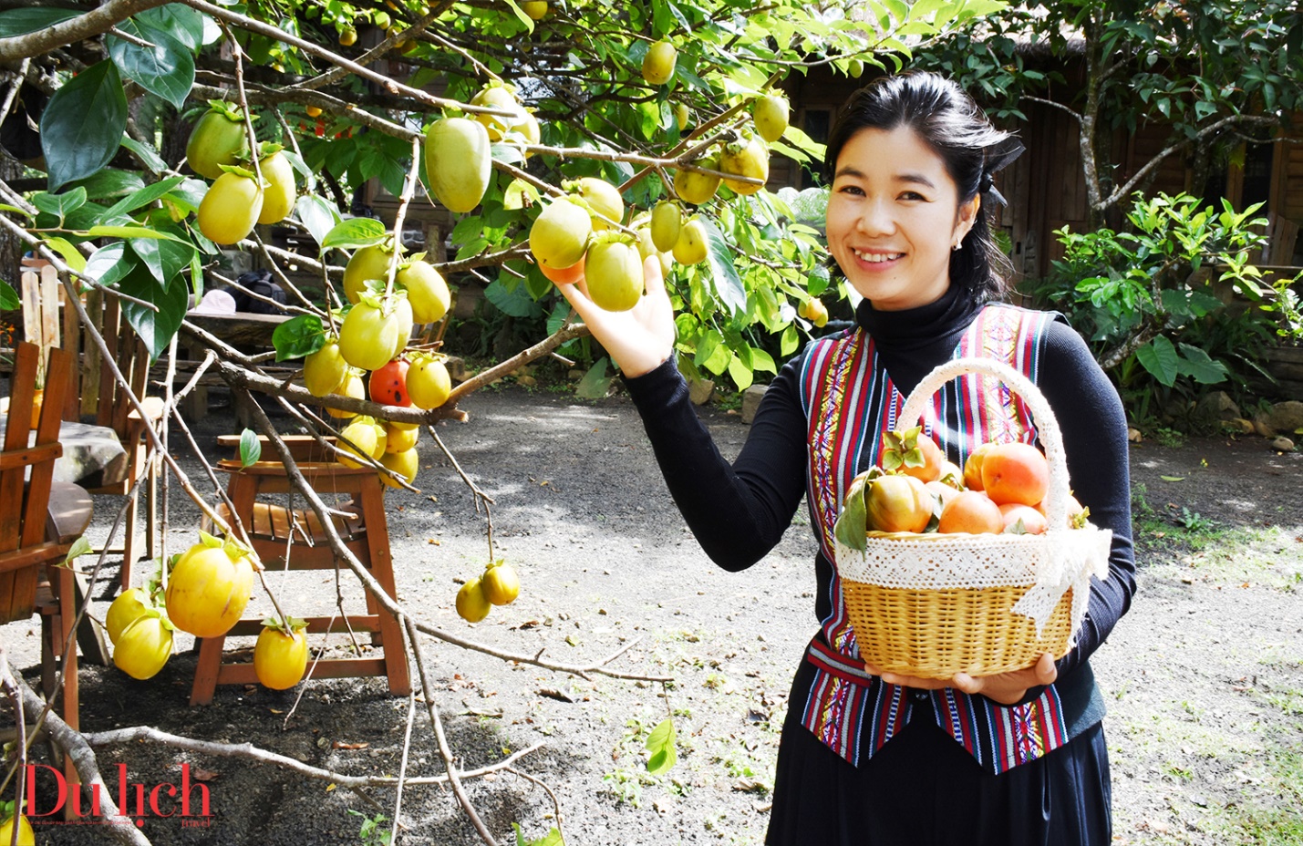 doanh nhan quang ngai tai tp.hcm khao sat trong cay duoc lieu duoi tan rung - 16