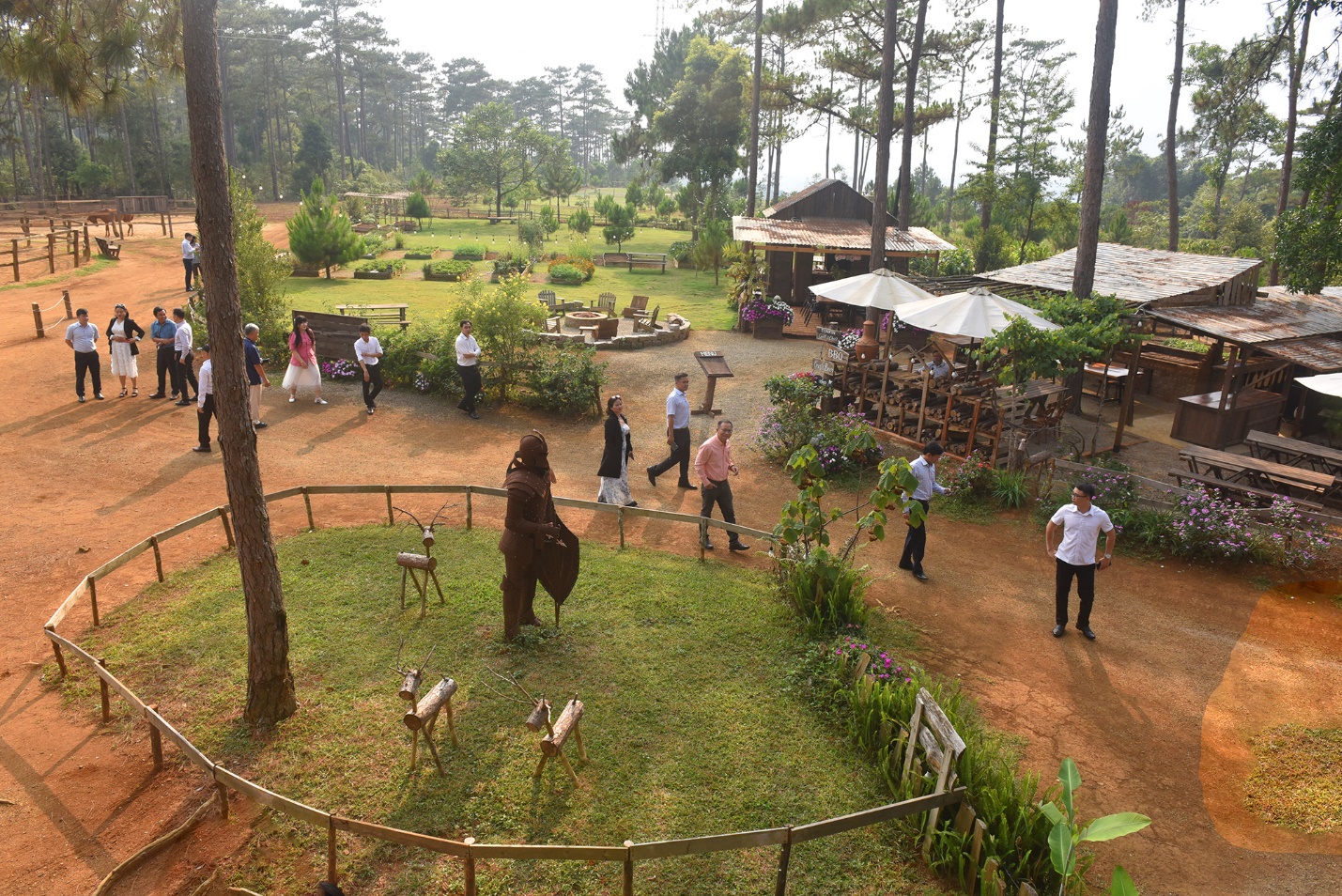 doanh nhan quang ngai tai tp.hcm khao sat trong cay duoc lieu duoi tan rung - 9