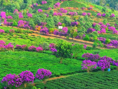  - Kon Plông bảo vệ rừng gắn với bảo tồn văn hóa để phát triển du lịch