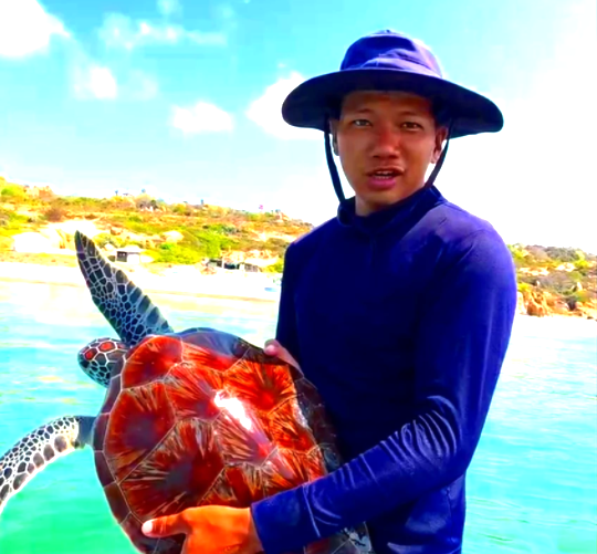 Thả cá thể rùa khổng lồ quý hiếm về với biển cả - 1