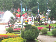 Lâm Đồng tổ chức loạt sự kiện hấp dẫn phục vụ du khách dịp hè