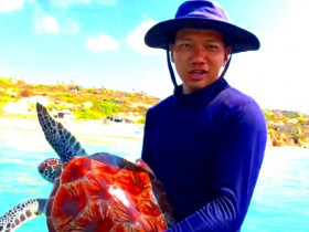  - Thả cá thể rùa khổng lồ quý hiếm về với biển cả