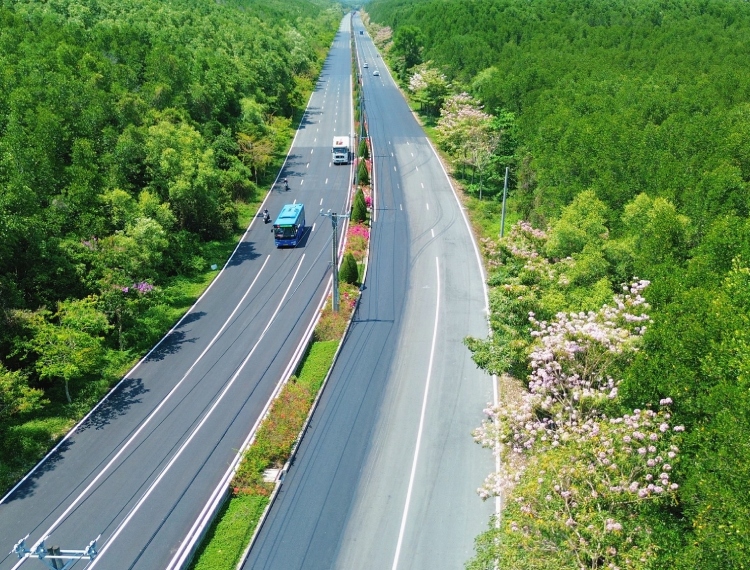 TP.HCM thúc đẩy trục Rừng Sác, mở lối phát triển du lịch biển Cần Giờ