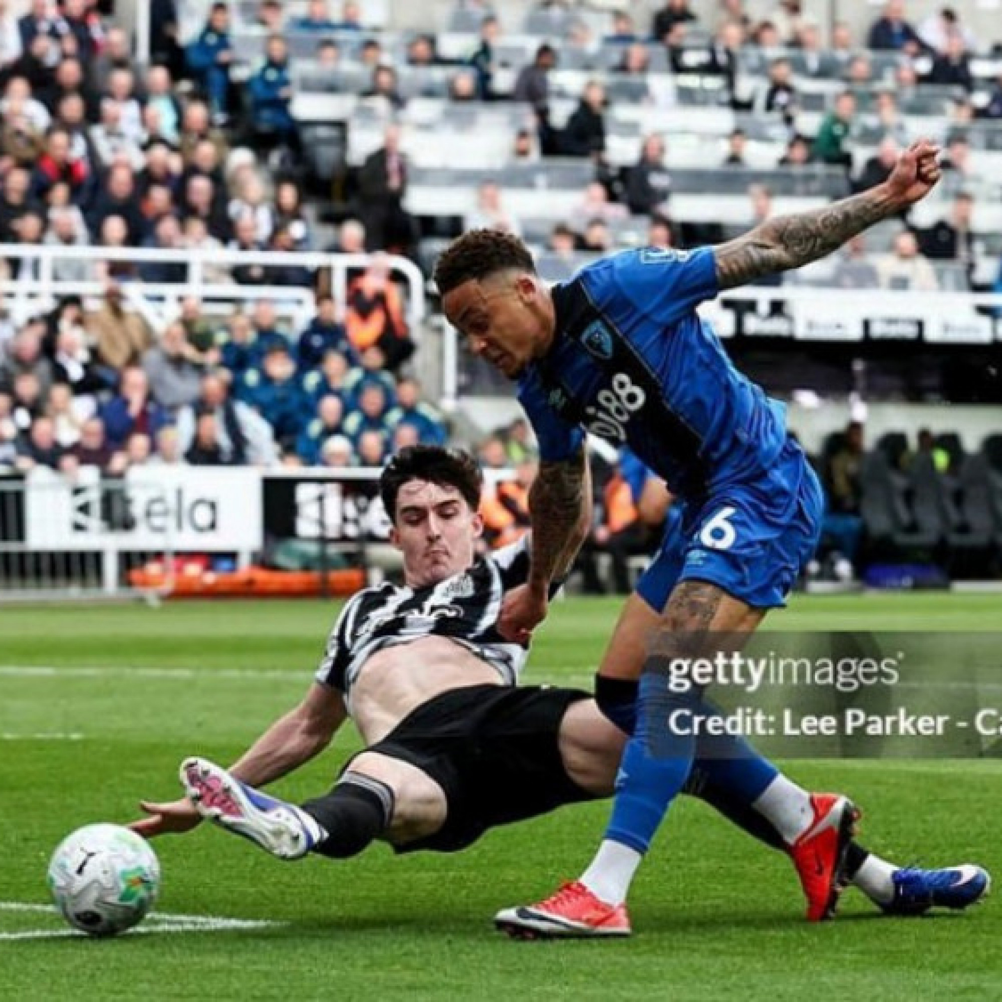 Kết quả bóng đá Newcastle - Bournemouth: Rượt đuổi hấp dẫn, áp sát top đầu (Ngoại hạng Anh)