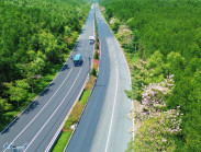 TP.HCM thúc đẩy trục Rừng Sác, mở lối phát triển du lịch biển Cần Giờ