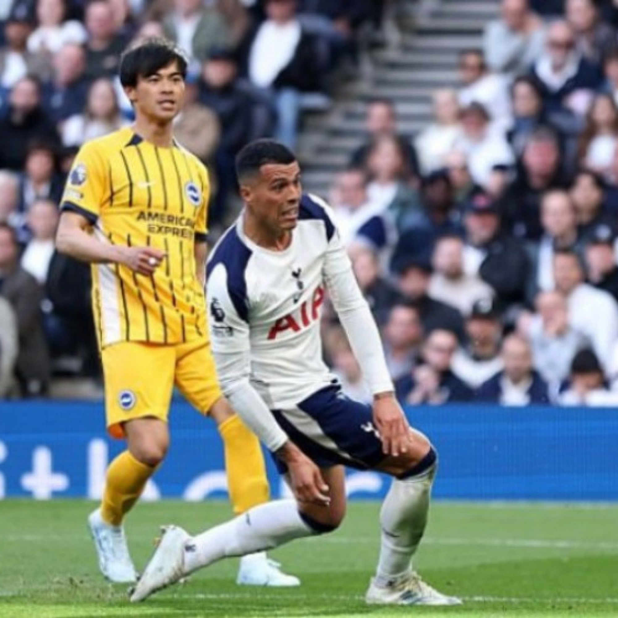  - Kết quả bóng đá Tottenham - Brighton: Siêu phẩm, sai lầm & bi kịch phút bù giờ (Ngoại hạng Anh)