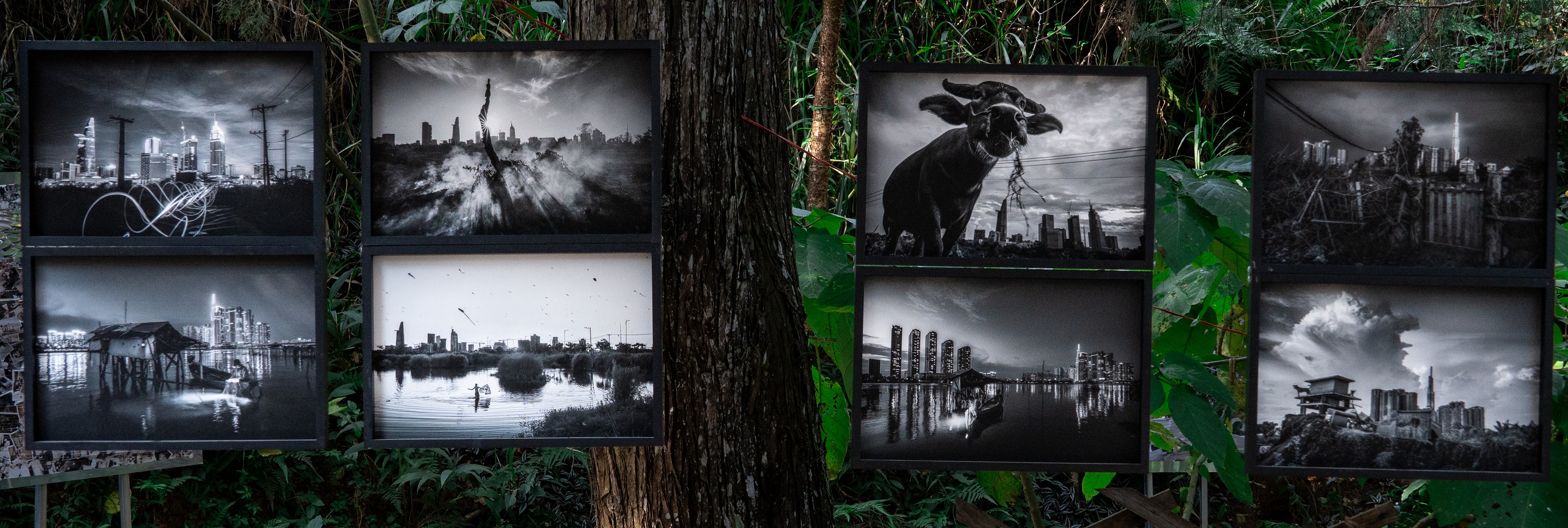 Tìm lại “Ký ức các thành phố” tại xứ ngàn hoa - 3