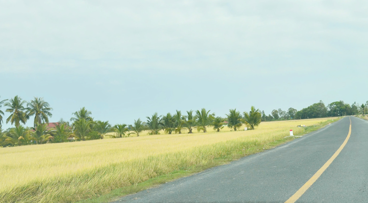 Cà Mau tổ chức Cuộc thi “Gạo ngon Đồng bằng sông Cửu Long” lần thứ nhất - 2