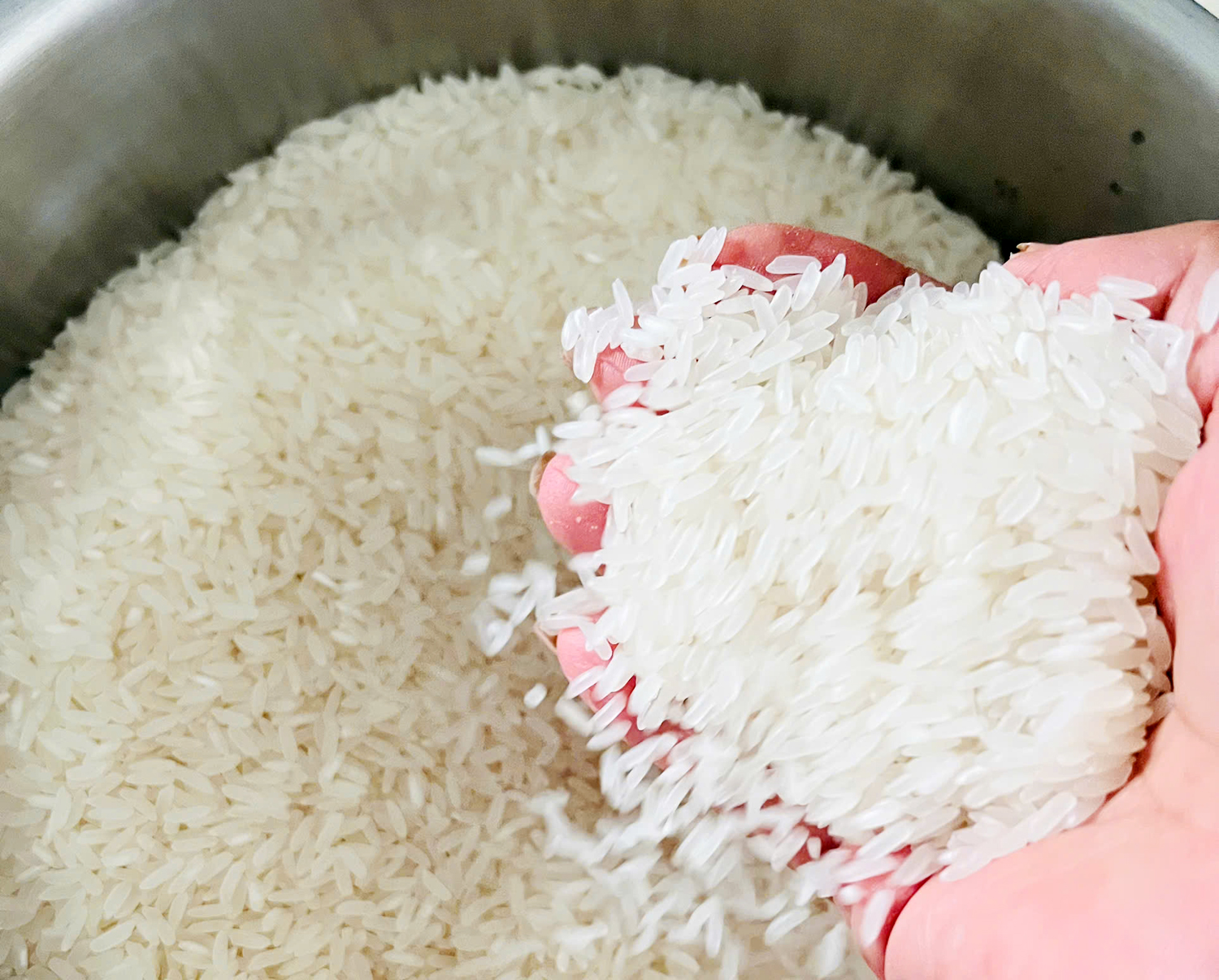 Cà Mau tổ chức Cuộc thi “Gạo ngon Đồng bằng sông Cửu Long” lần thứ nhất - 4