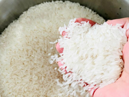 Chuyển động - Cà Mau tổ chức Cuộc thi “Gạo ngon Đồng bằng sông Cửu Long” lần thứ nhất