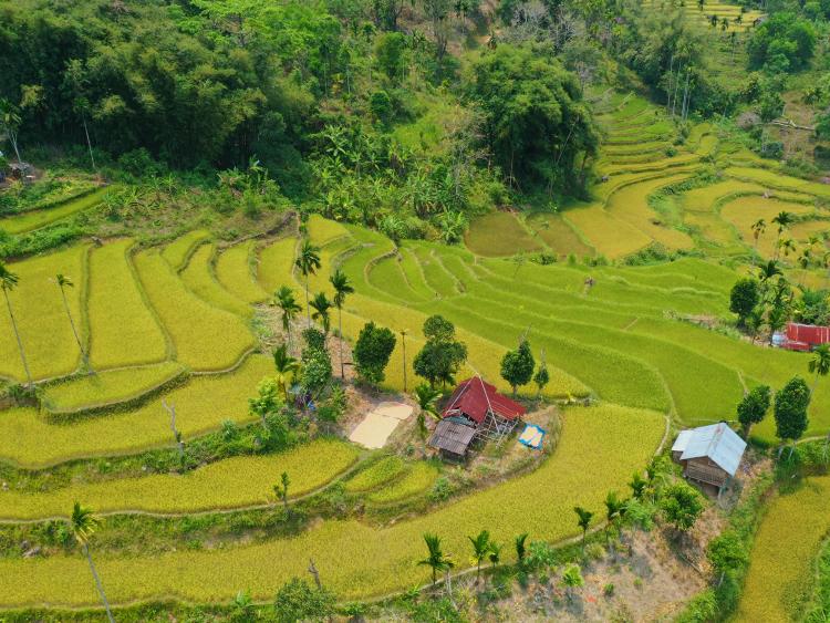 Mê mẩn ruộng bậc thang tuyệt đẹp ở Sơn Tây Thượng