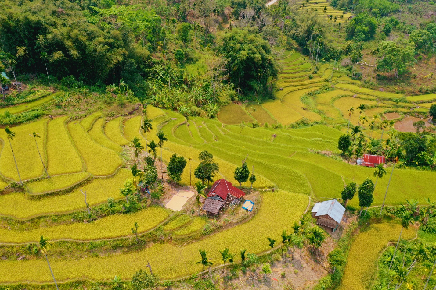 me man ruong bac thang tuyet dep o son tay thuong - 4
