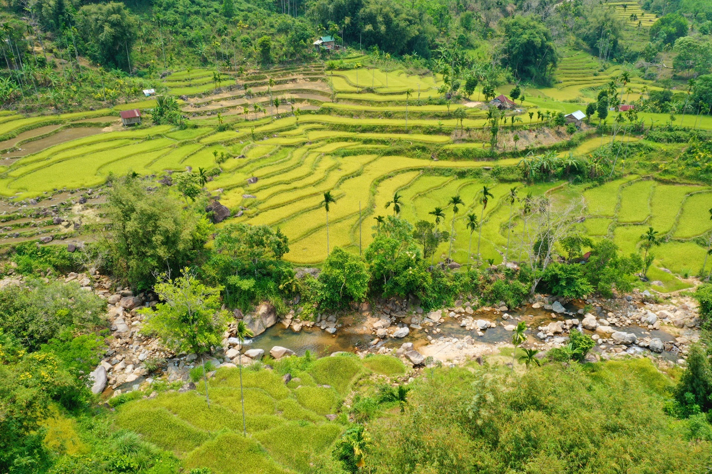 me man ruong bac thang tuyet dep o son tay thuong - 3