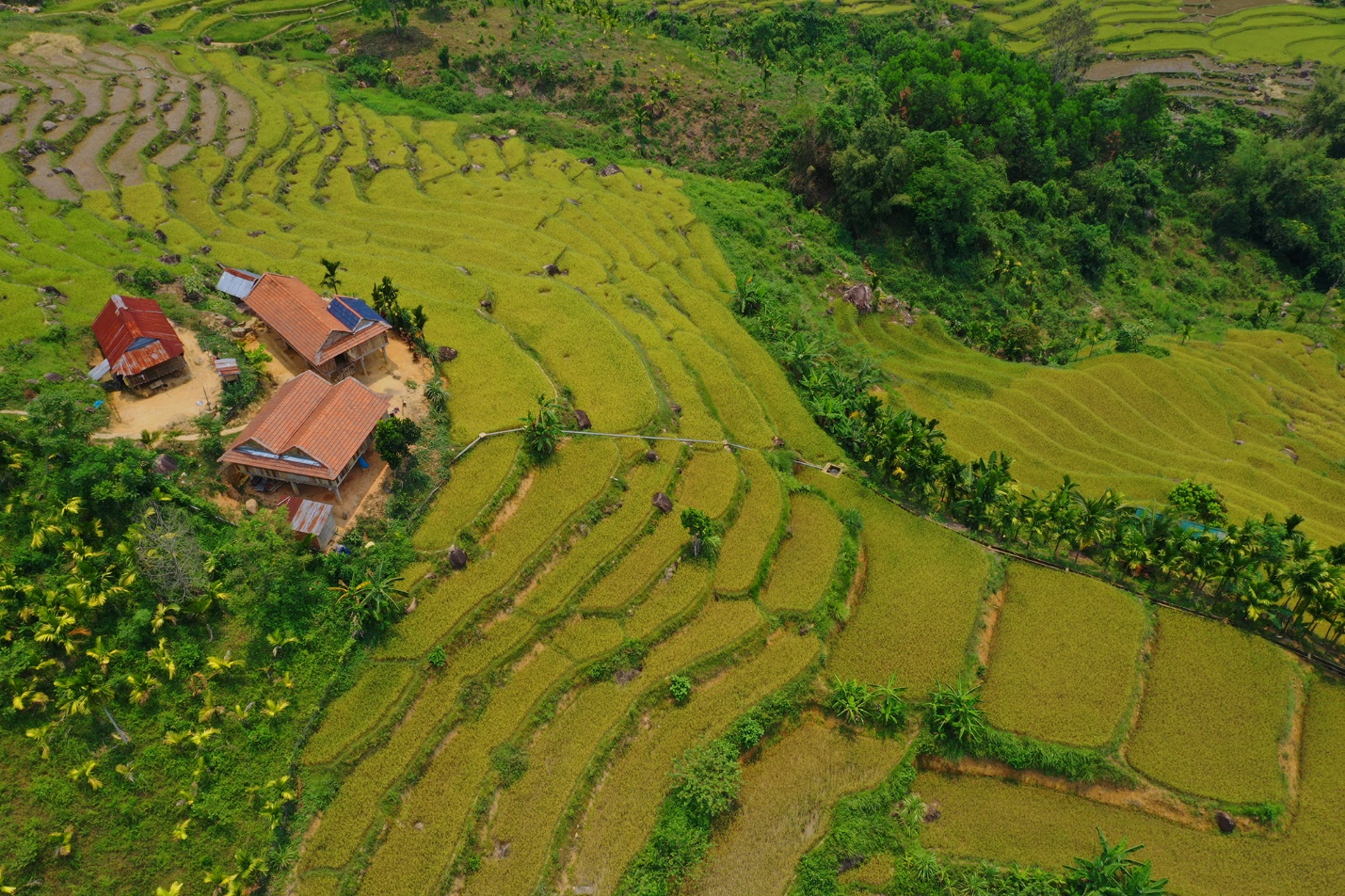 me man ruong bac thang tuyet dep o son tay thuong - 6