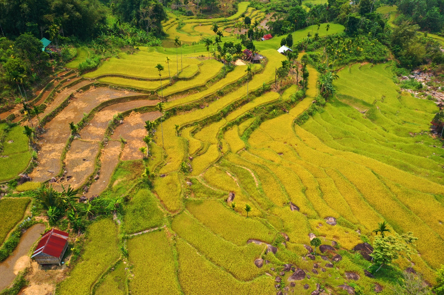 me man ruong bac thang tuyet dep o son tay thuong - 5
