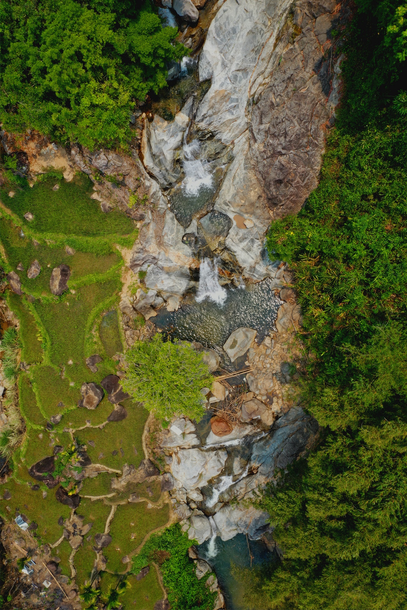 me man ruong bac thang tuyet dep o son tay thuong - 7