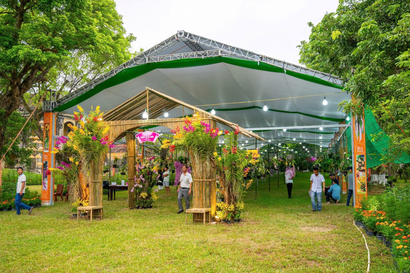 Vào chốn Hoàng cung, ngắm phong lan, cây kiểng, đá cảnh 3 miền - 4