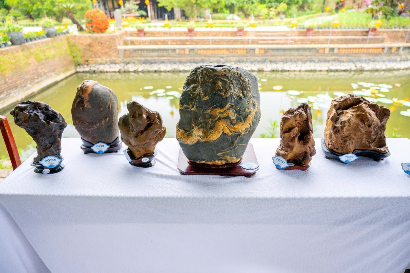 Vào chốn Hoàng cung, ngắm phong lan, cây kiểng, đá cảnh 3 miền - 14