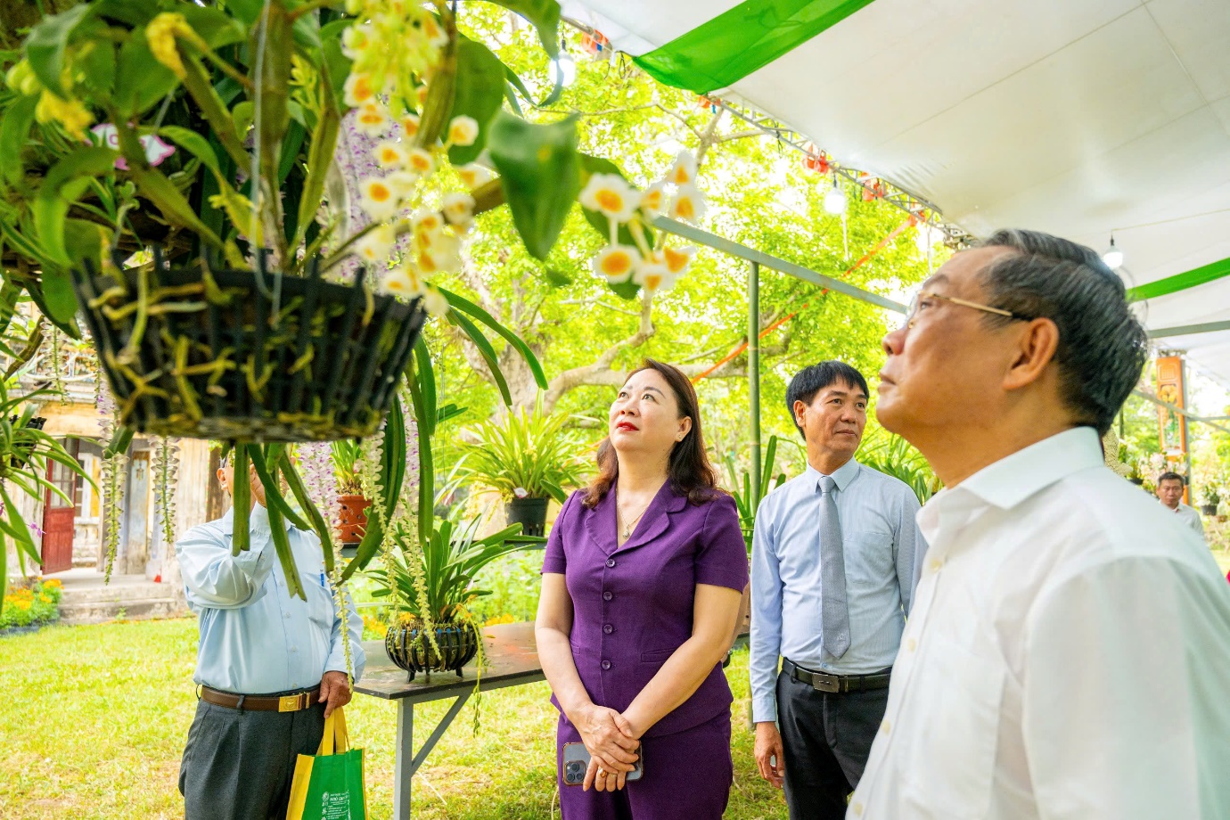 Vào chốn Hoàng cung, ngắm phong lan, cây kiểng, đá cảnh 3 miền - 2
