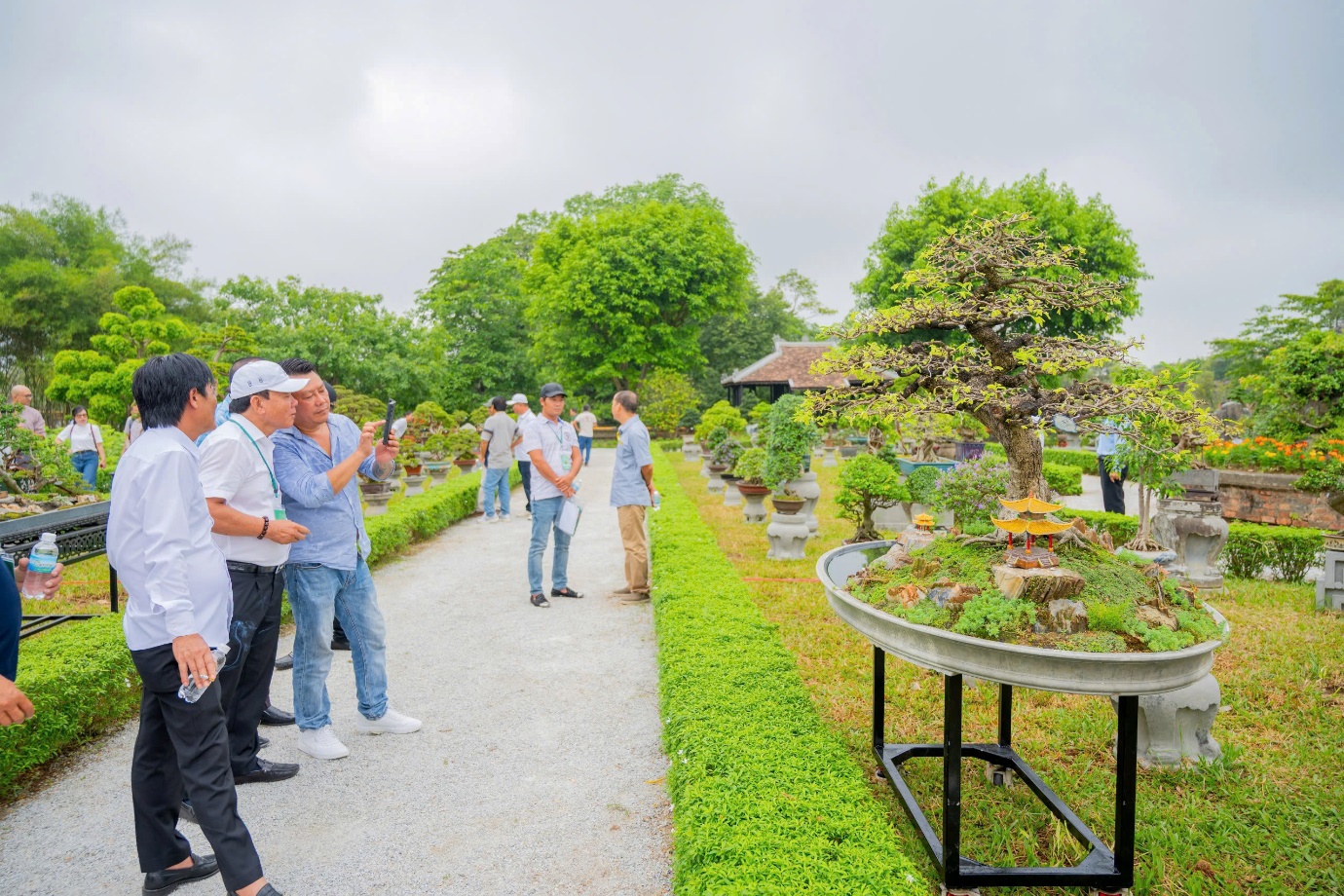 Vào chốn Hoàng cung, ngắm phong lan, cây kiểng, đá cảnh 3 miền - 8
