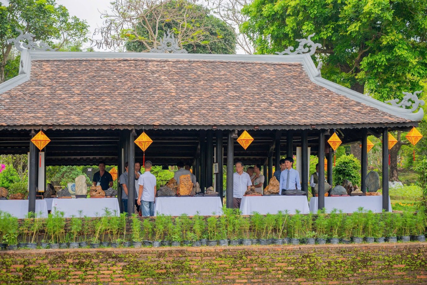 Vào chốn Hoàng cung, ngắm phong lan, cây kiểng, đá cảnh 3 miền - 15