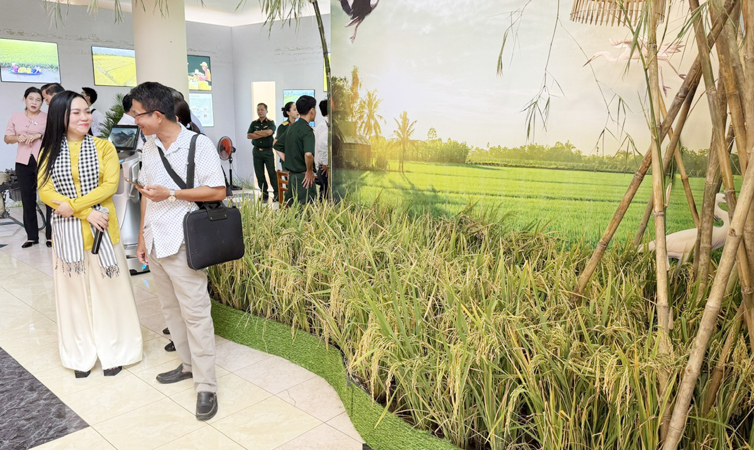 Cà Mau lập bảo tàng tôn vinh hạt lúa - 2