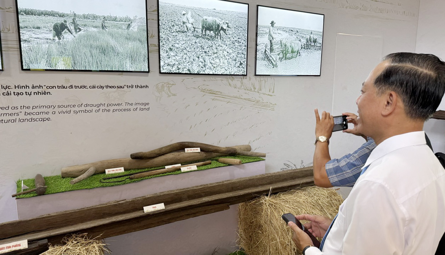 Cà Mau lập bảo tàng tôn vinh hạt lúa - 3