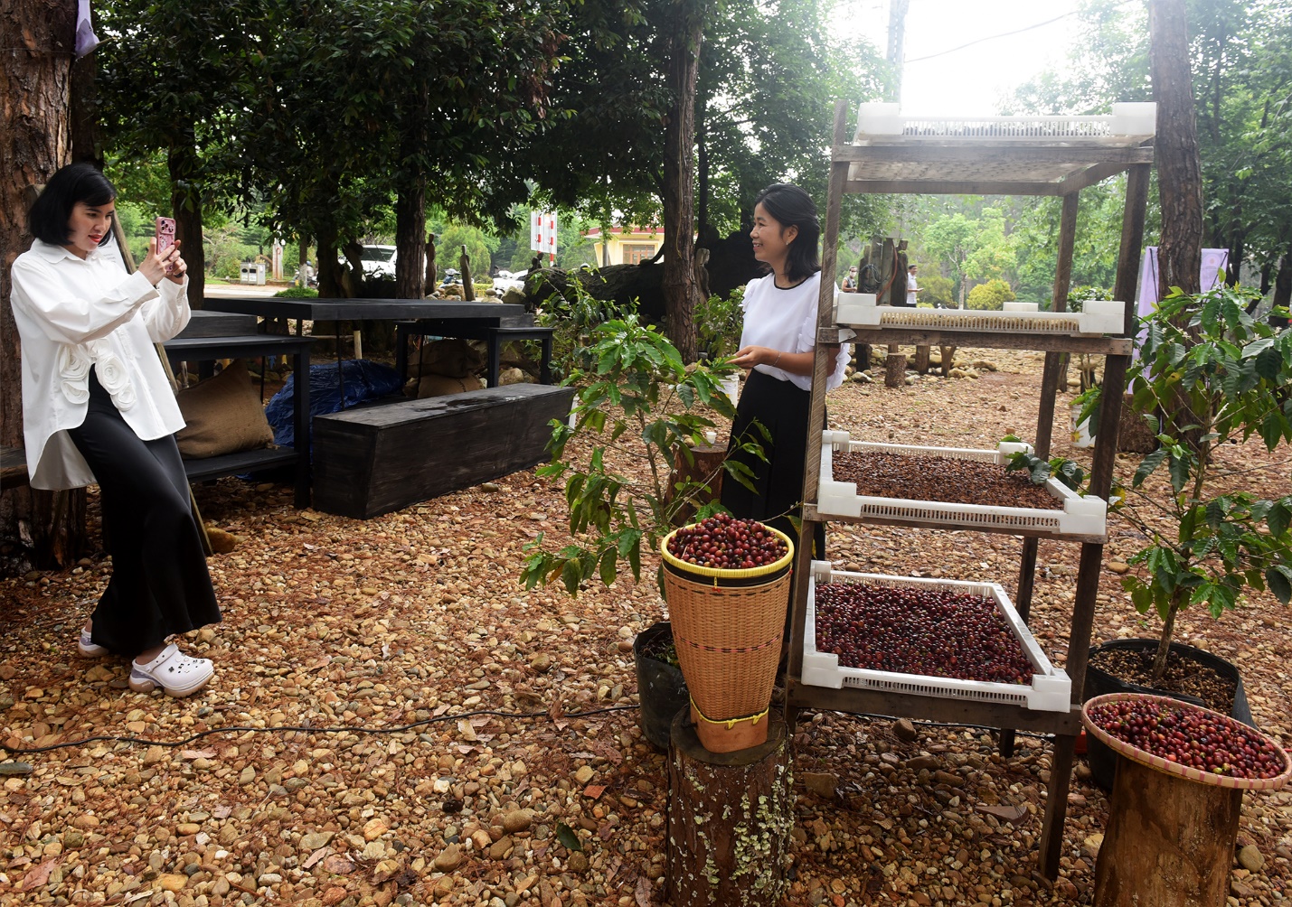 khong gian trai nghiem ca phe doc dao o vuon tuong nghe thuat mang den - 3