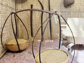  - Cà Mau lập bảo tàng tôn vinh hạt lúa