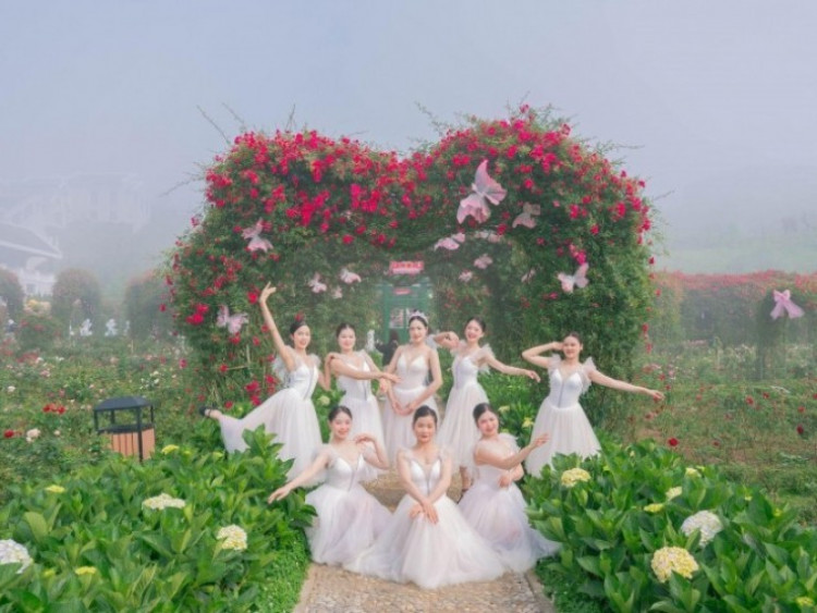 Lễ hội Hoa hồng Fansipan 2026 khai màn, hàng vạn du khách check-in bên triệu đoá hồng, vui bất tận từ sáng tới đêm