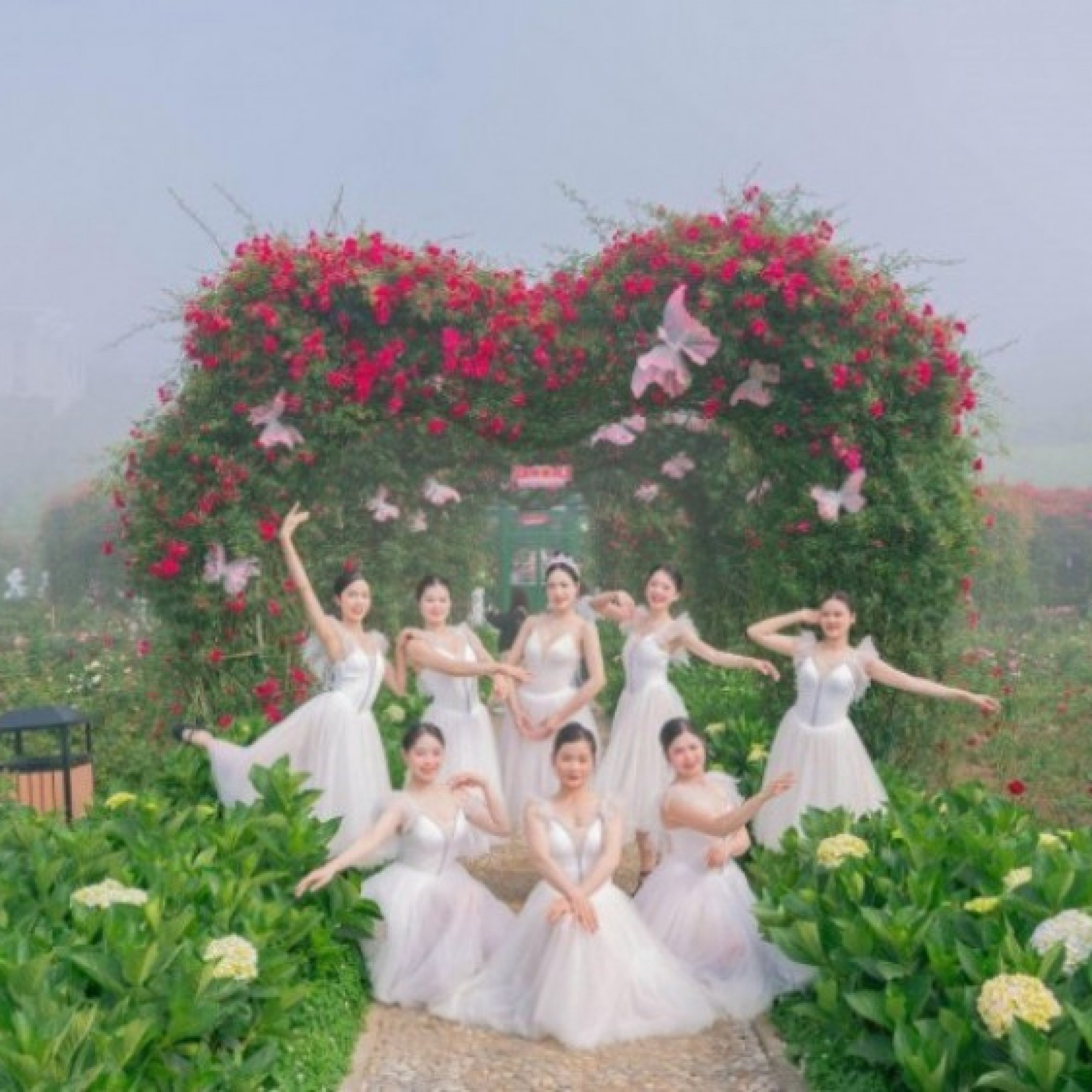  - Lễ hội Hoa hồng Fansipan 2026 khai màn, hàng vạn du khách check-in bên triệu đoá hồng, vui bất tận từ sáng tới đêm