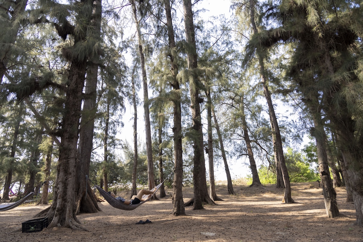 ky nghi le: cam trai o mien bien hoang so voi cat vang, hang duong ri rao - 8