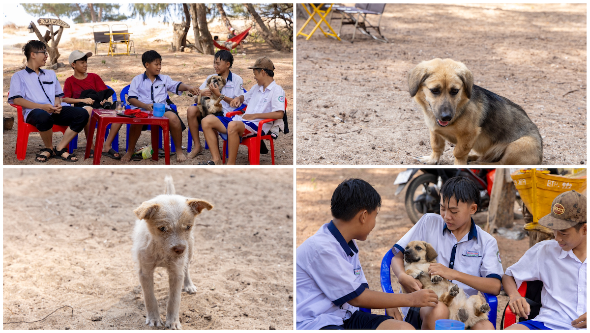 ky nghi le: cam trai o mien bien hoang so voi cat vang, hang duong ri rao - 16