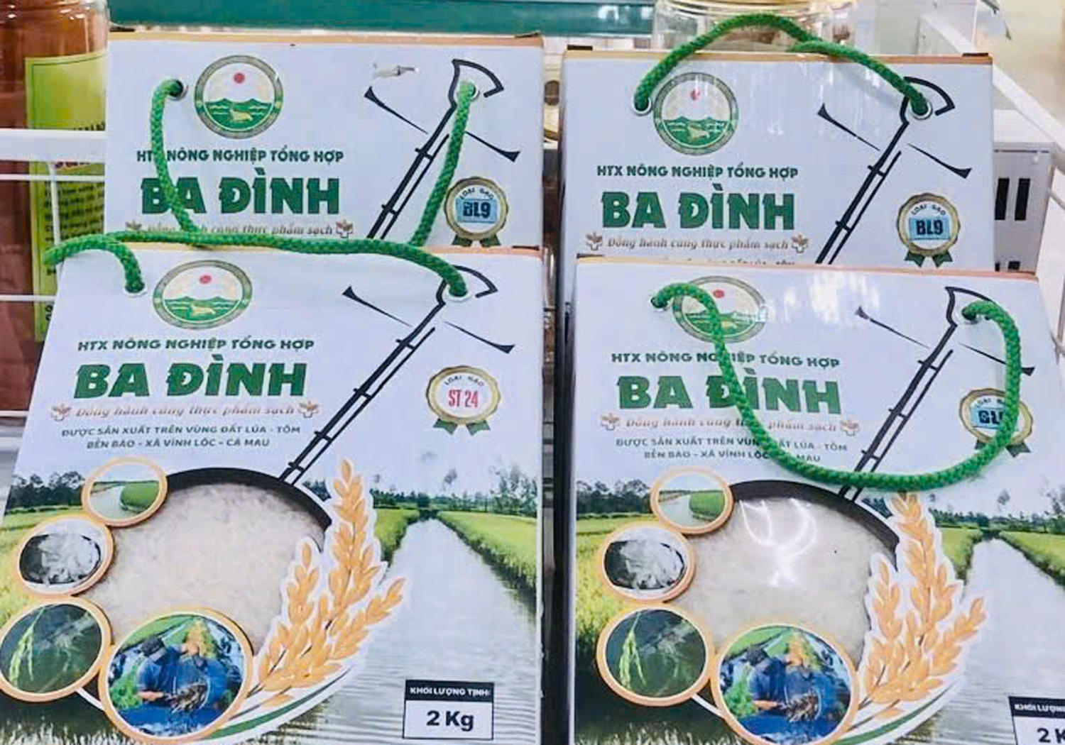 Gạo BL9 của HTX Ba Đình đoạt giải nhất Cuộc thi Gạo ngon ĐBSCL - 5