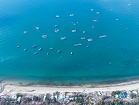  - Kỳ nghỉ lễ: Cắm trại ở miền biển hoang sơ với cát vàng, hàng dương rì rào