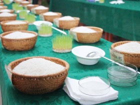  - Gạo BL9 của HTX Ba Đình đoạt giải nhất Cuộc thi Gạo ngon ĐBSCL