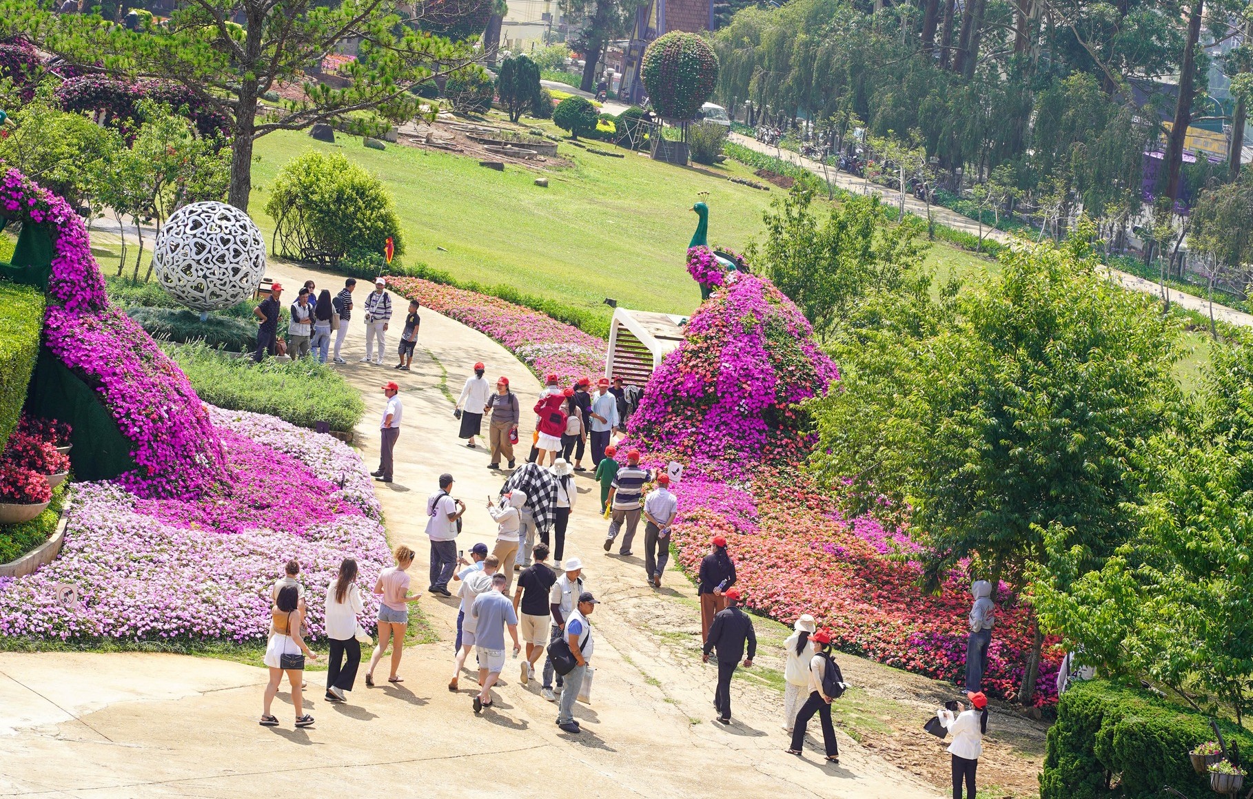 Đến Lâm Đồng - Săn mây ngàn, lướt sóng bạc - 5