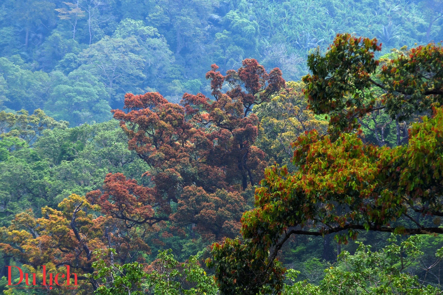 cung duong truong son dong dep nhu mo vao mua hoa no - 11