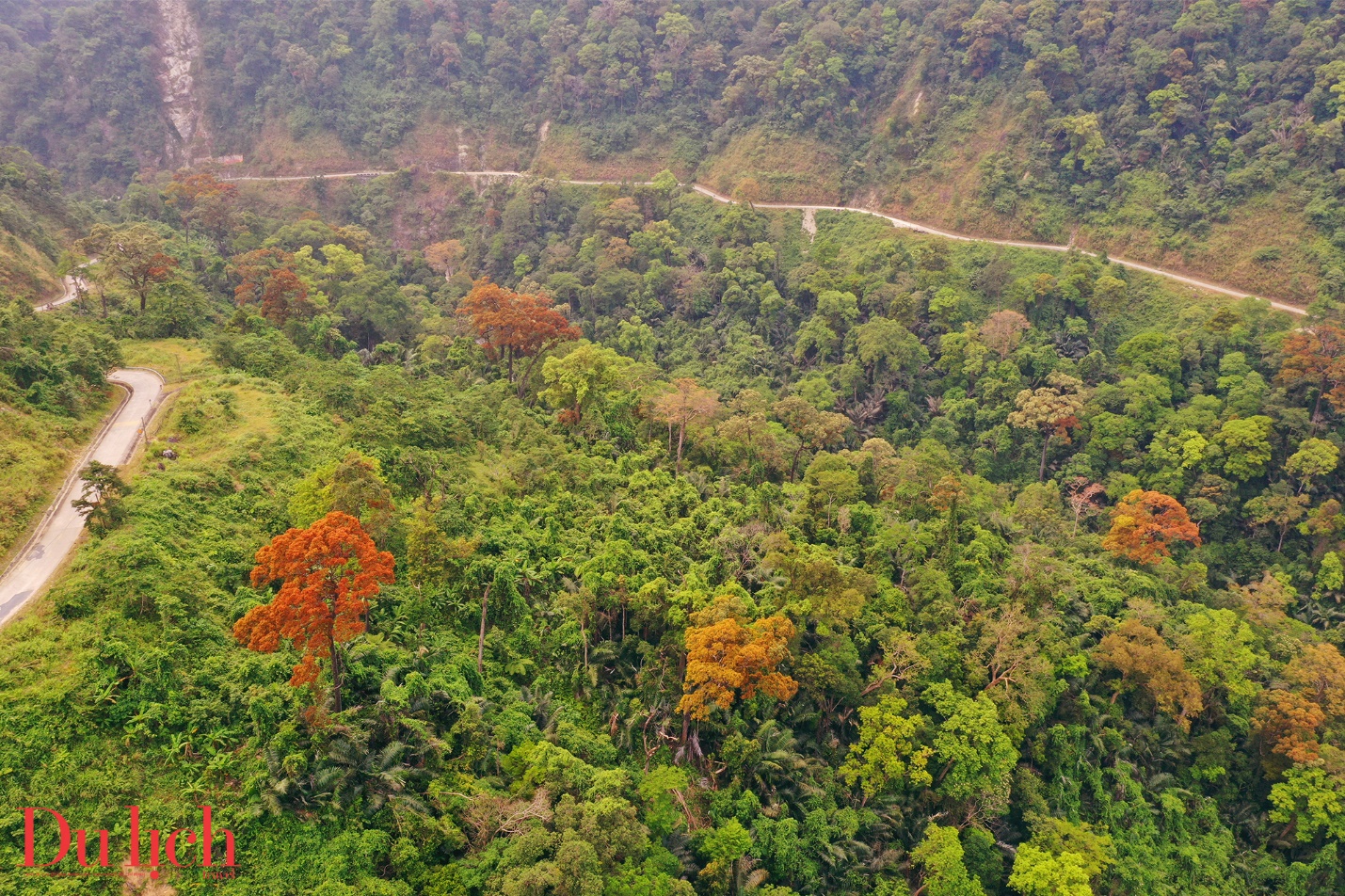cung duong truong son dong dep nhu mo vao mua hoa no - 8