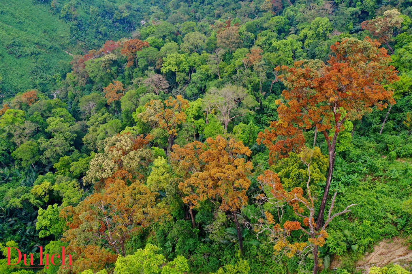 cung duong truong son dong dep nhu mo vao mua hoa no - 4