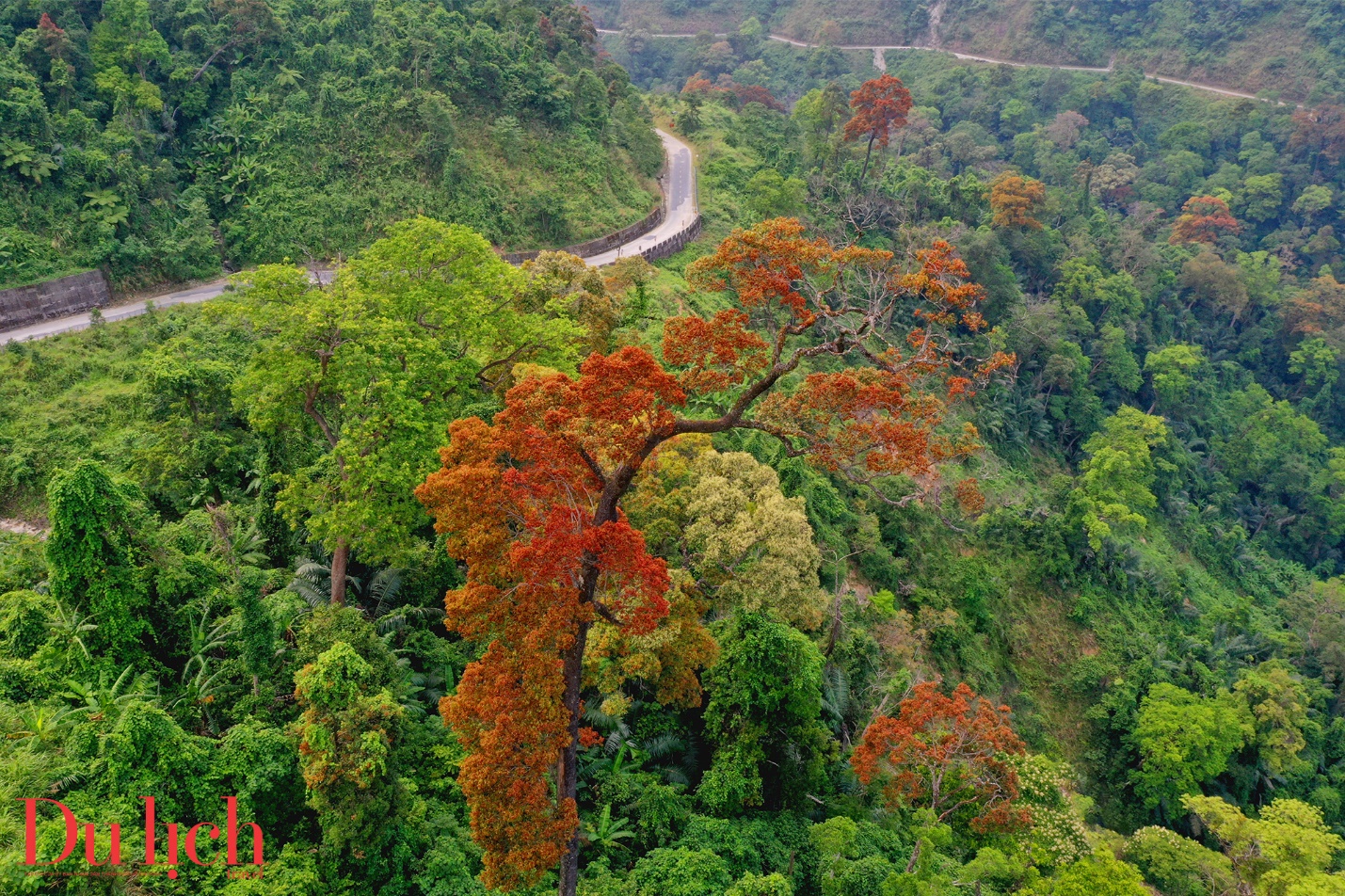 cung duong truong son dong dep nhu mo vao mua hoa no - 3