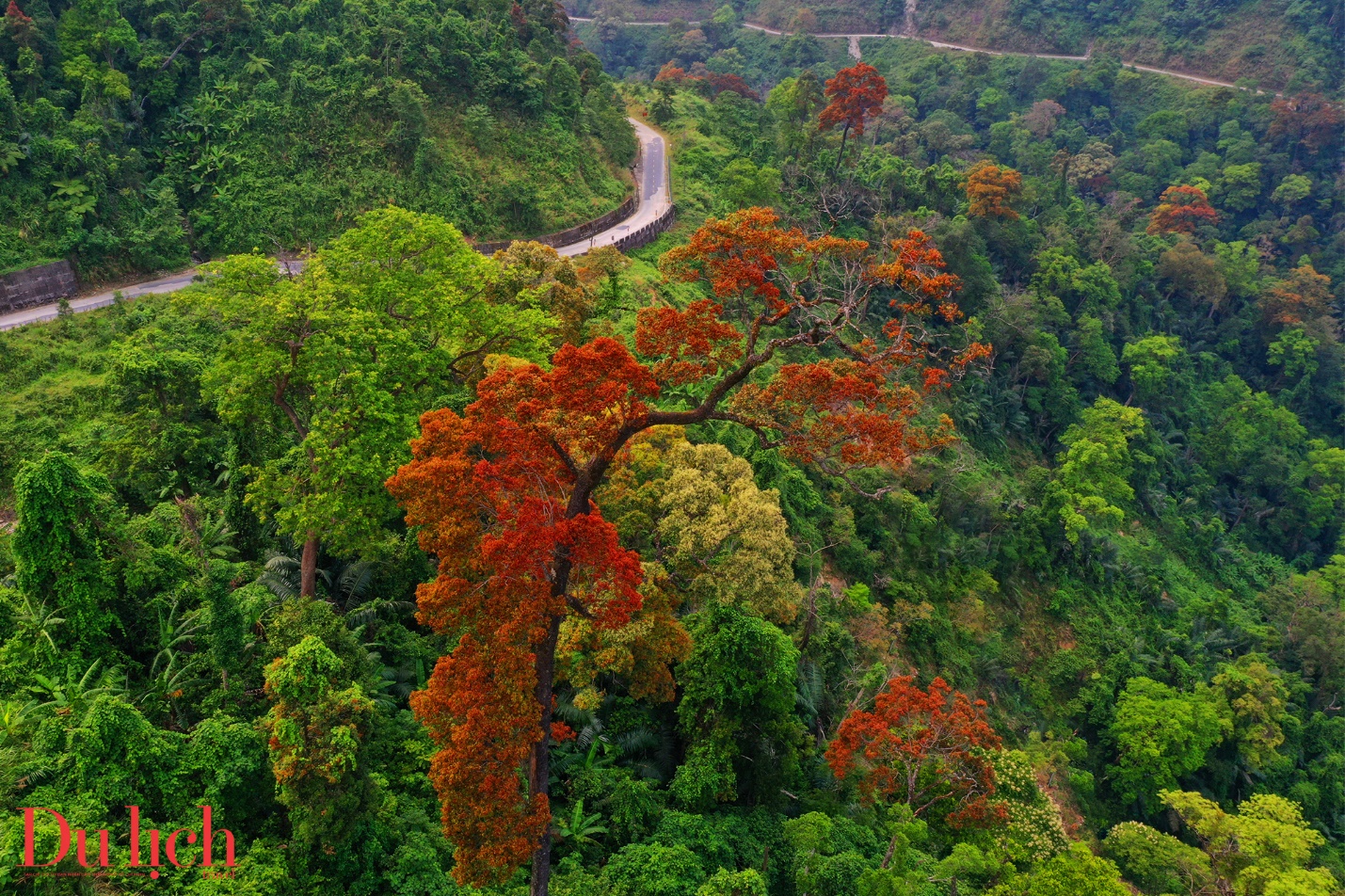 cung duong truong son dong dep nhu mo vao mua hoa no - 13
